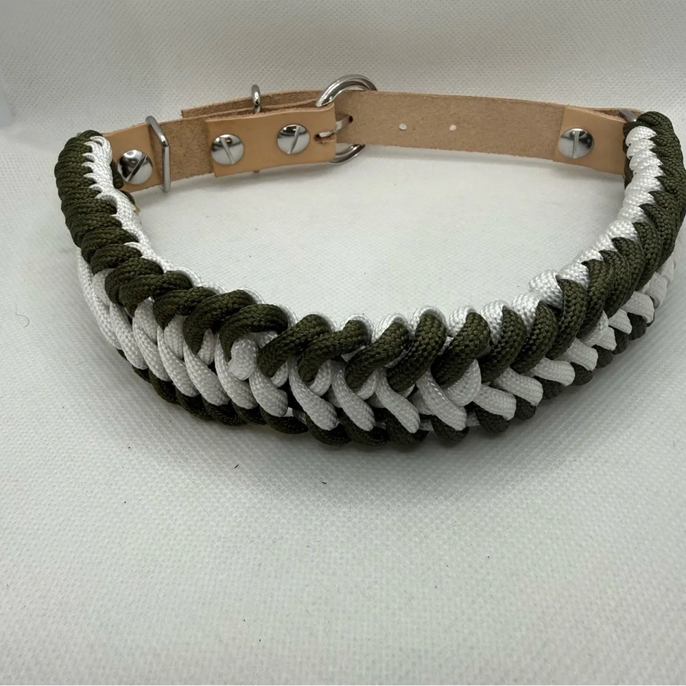 Handmade Leather and Paracord Dog Collar